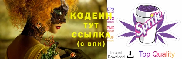 крисы Кодинск