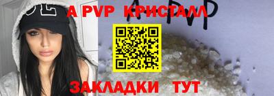 прущие грибы Гудермес
