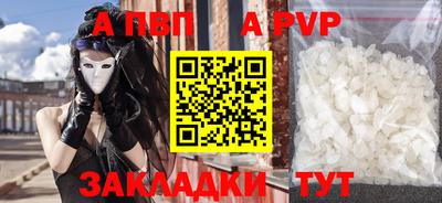 прущие грибы Гудермес