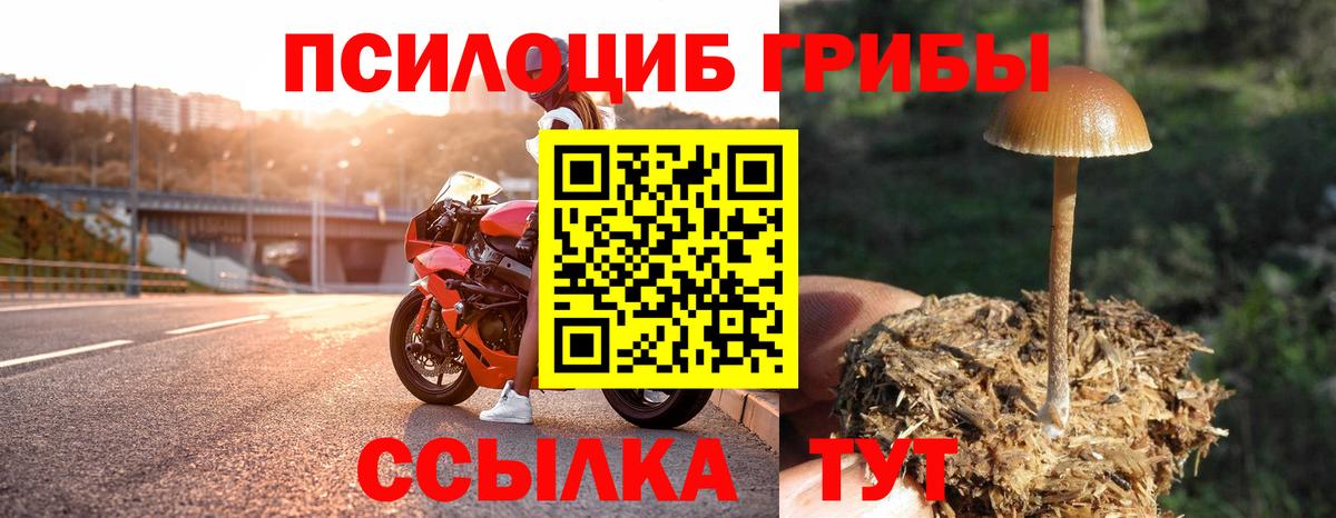 Псилоцибиновые грибы мицелий Краснокамск